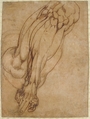 Anatomical Studies of a Leg (recto); Study of a Leg (verso), School of Michelangelo Buonarroti (Italian, Caprese 1475–1564 Rome), Pen and brown ink, and red chalk (recto); pen and brown ink (verso)
